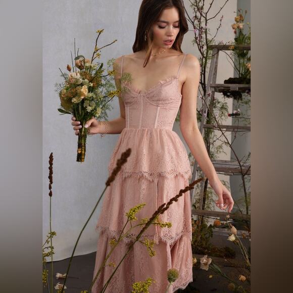 V. Chapman Mia Rose Dust Midi Dress - Picture 5 of 11